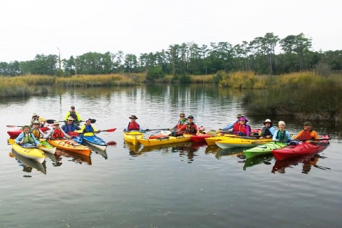 2 hr Guided Kayak Tour